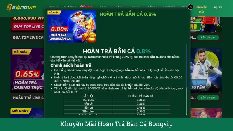 Hoàn trả thể thao BONGVIP