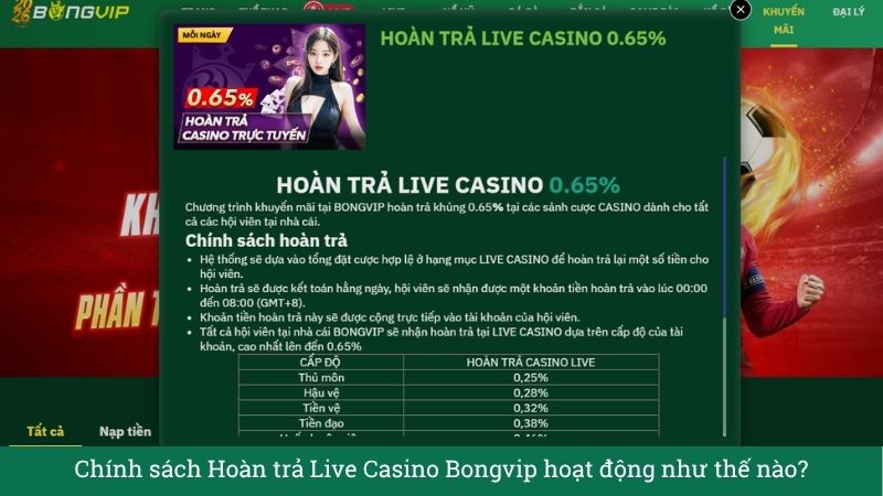 Bảo hiểm cược thua BONGVIP