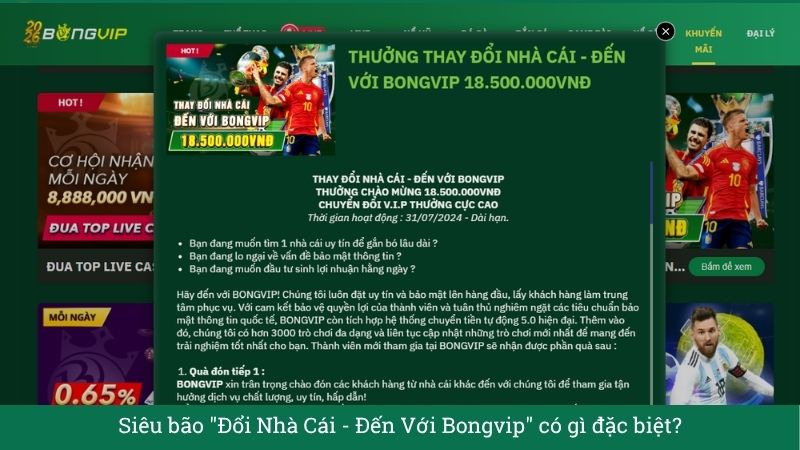 Đặc quyền VIP BONGVIP