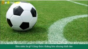 Kinh nghiệm Kèo Tài Xỉu