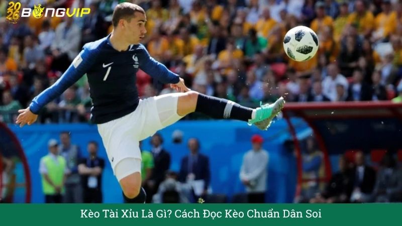 Kèo Tài Xỉu